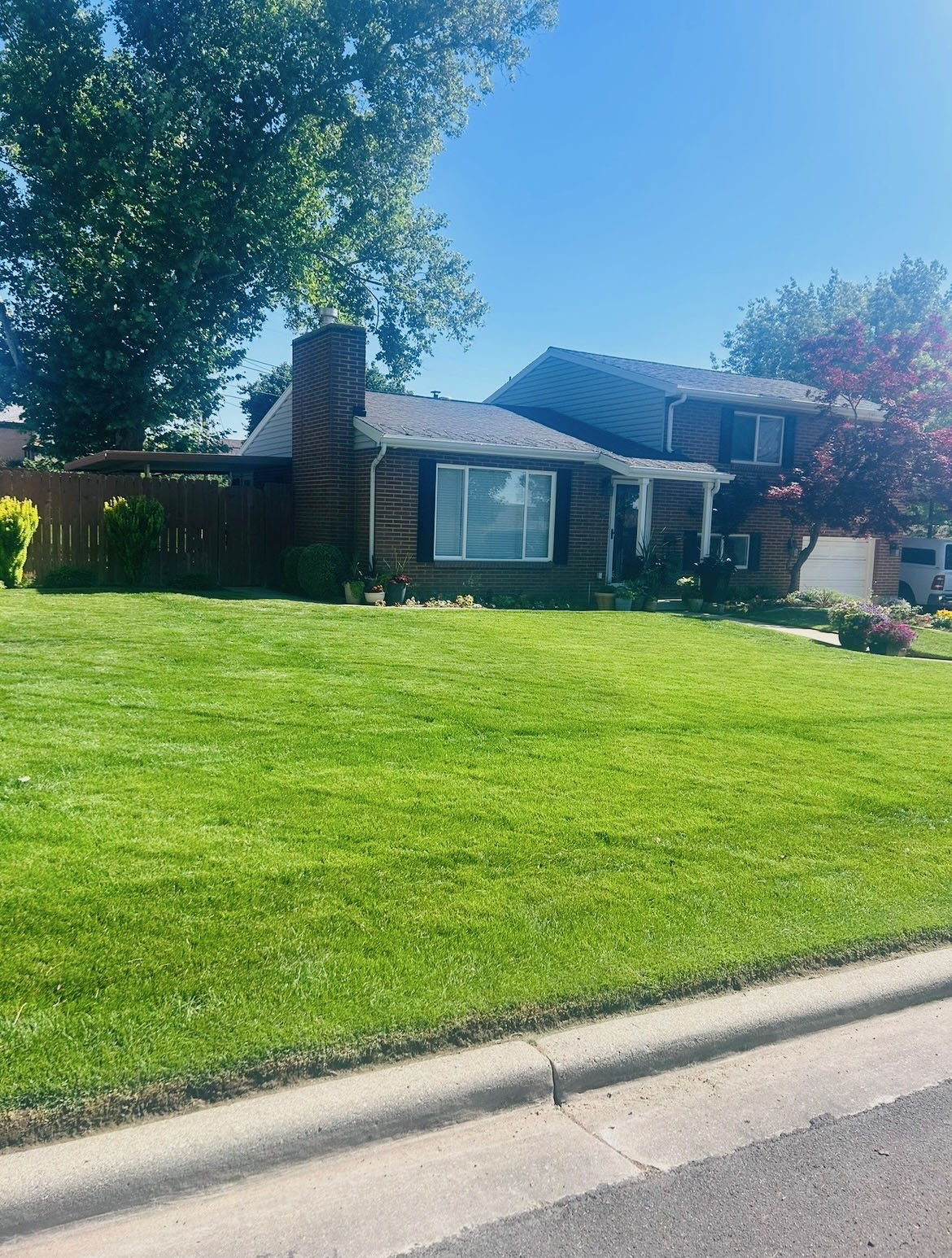 Well-maintained residential lawn by Green Oasis