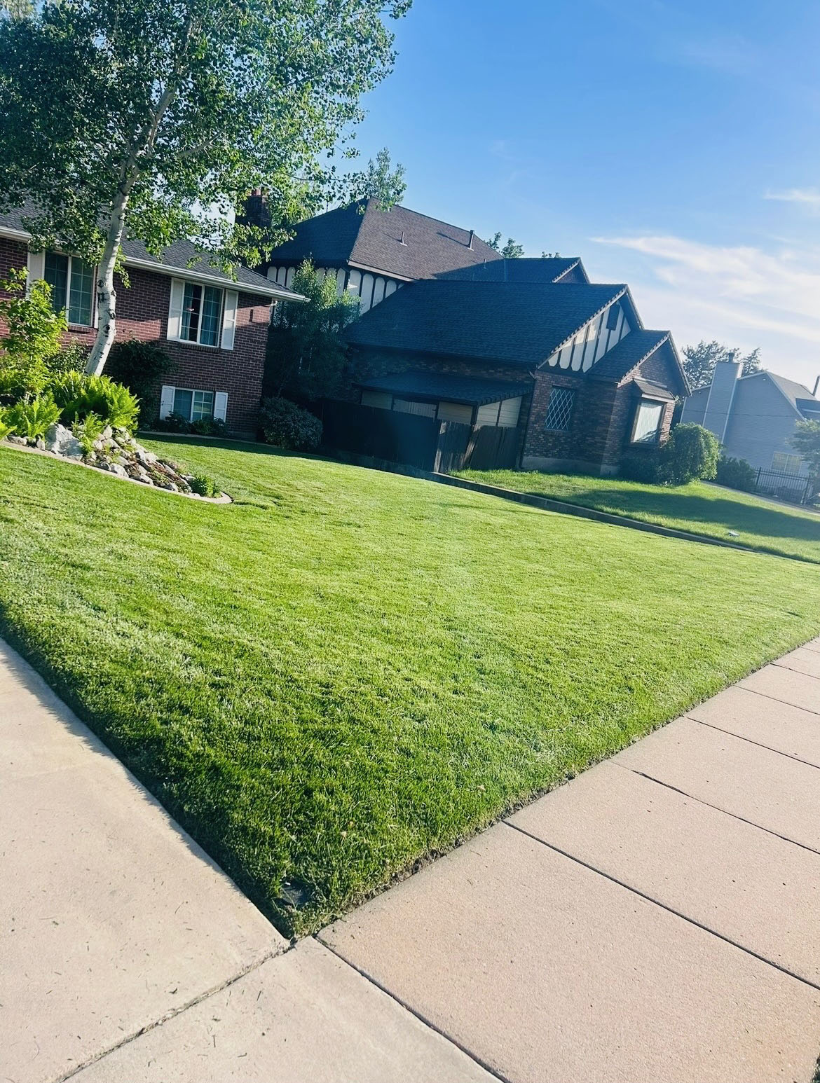 Green Oasis lawn care project