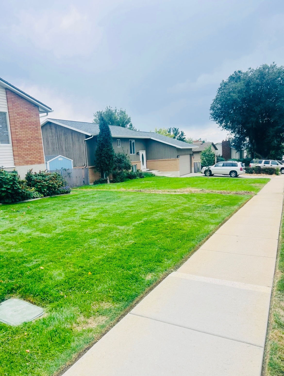 Green Oasis lawn care project