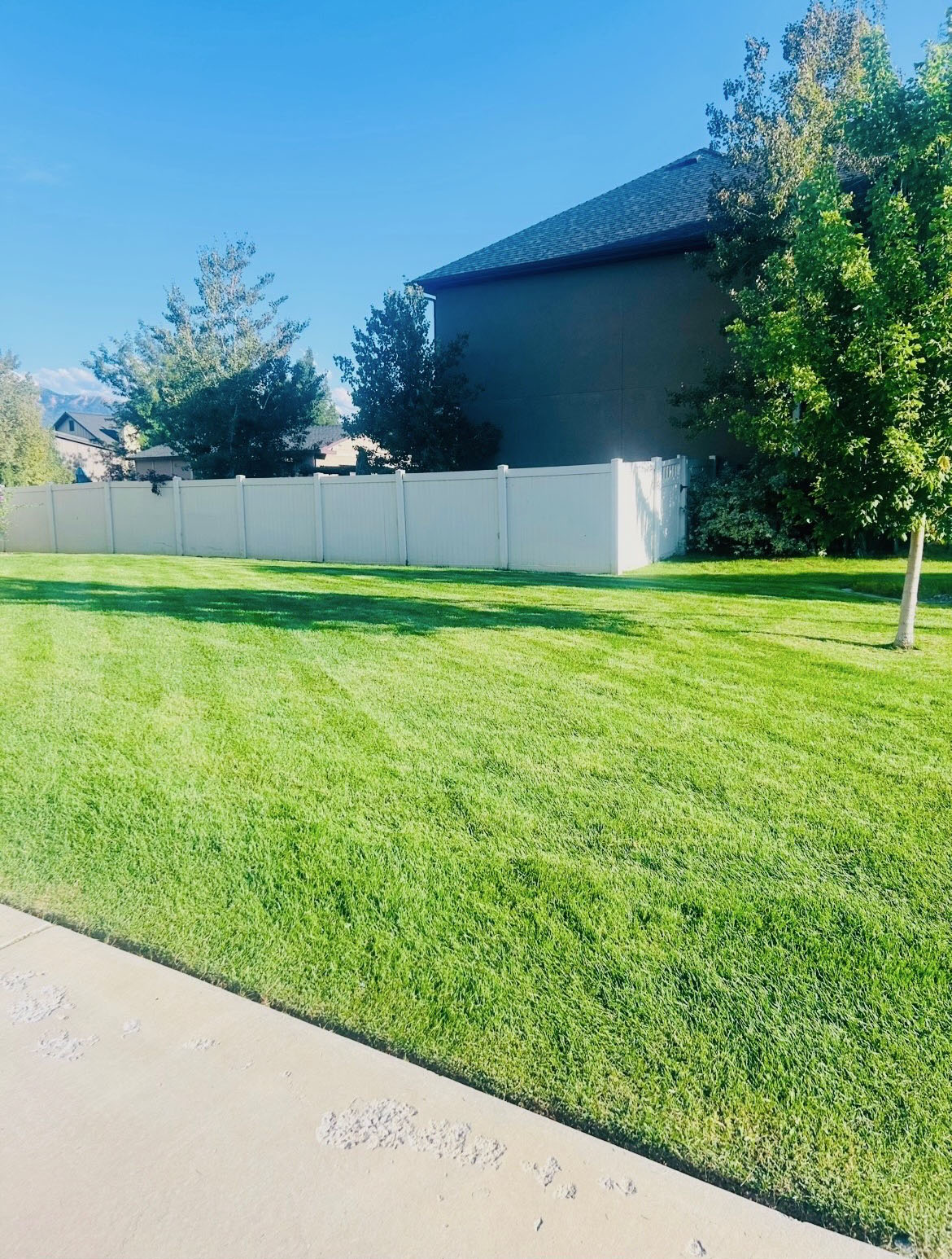 Green Oasis lawn care project