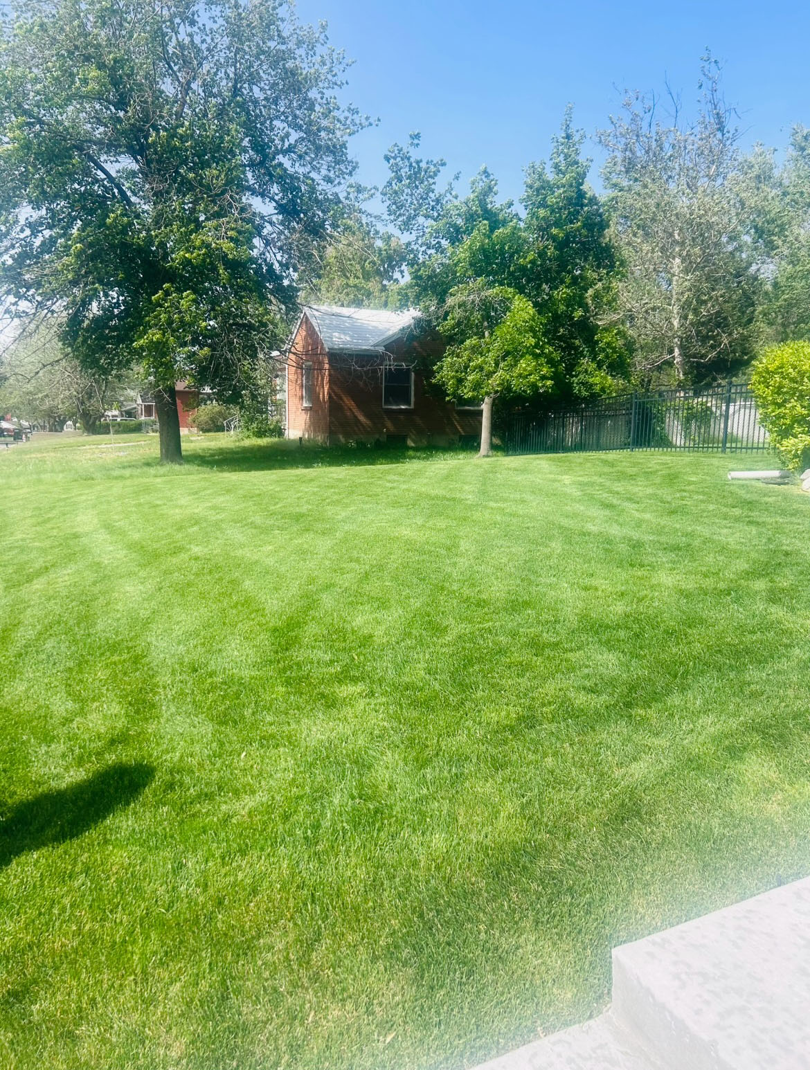 Green Oasis lawn care project