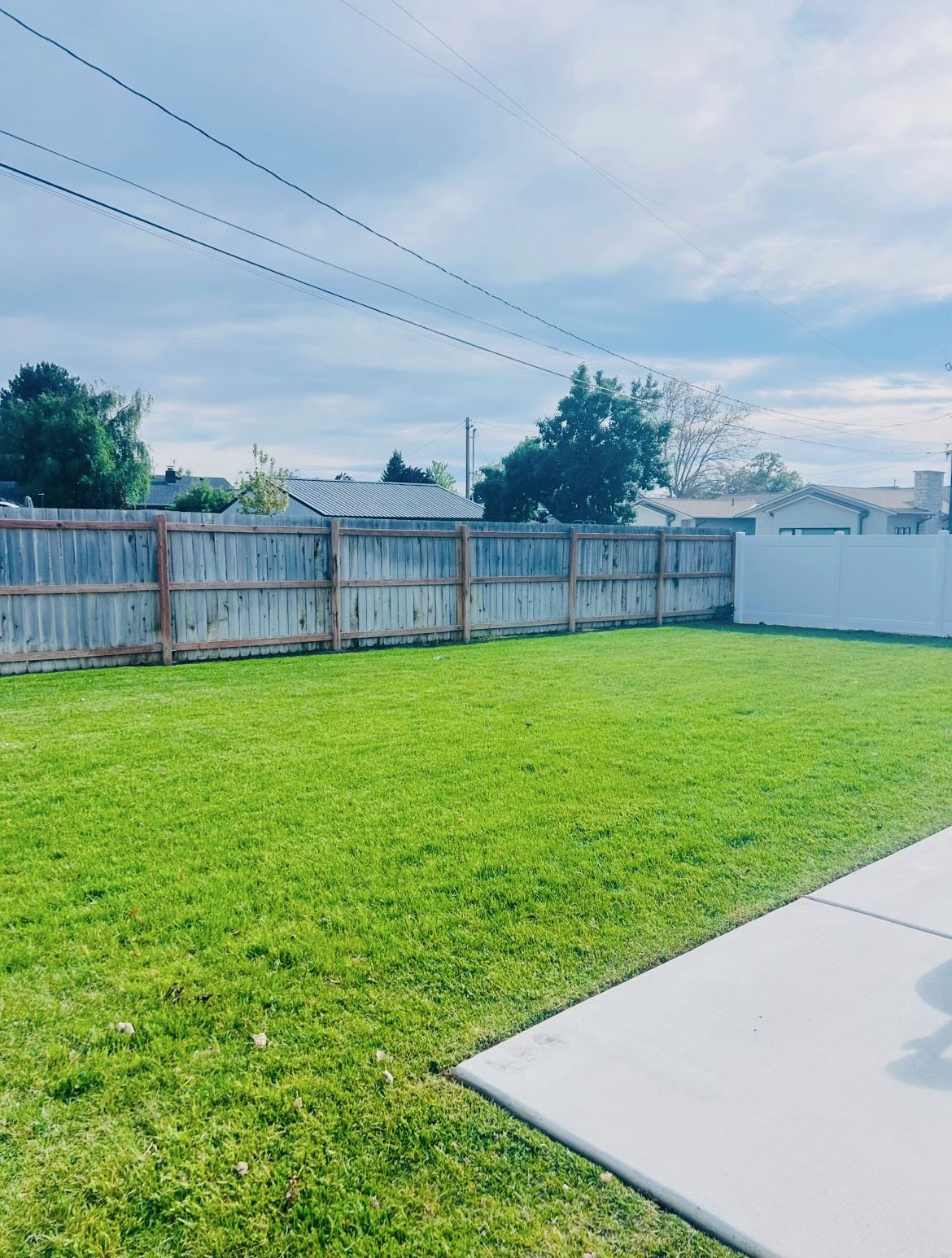 Green Oasis lawn care project