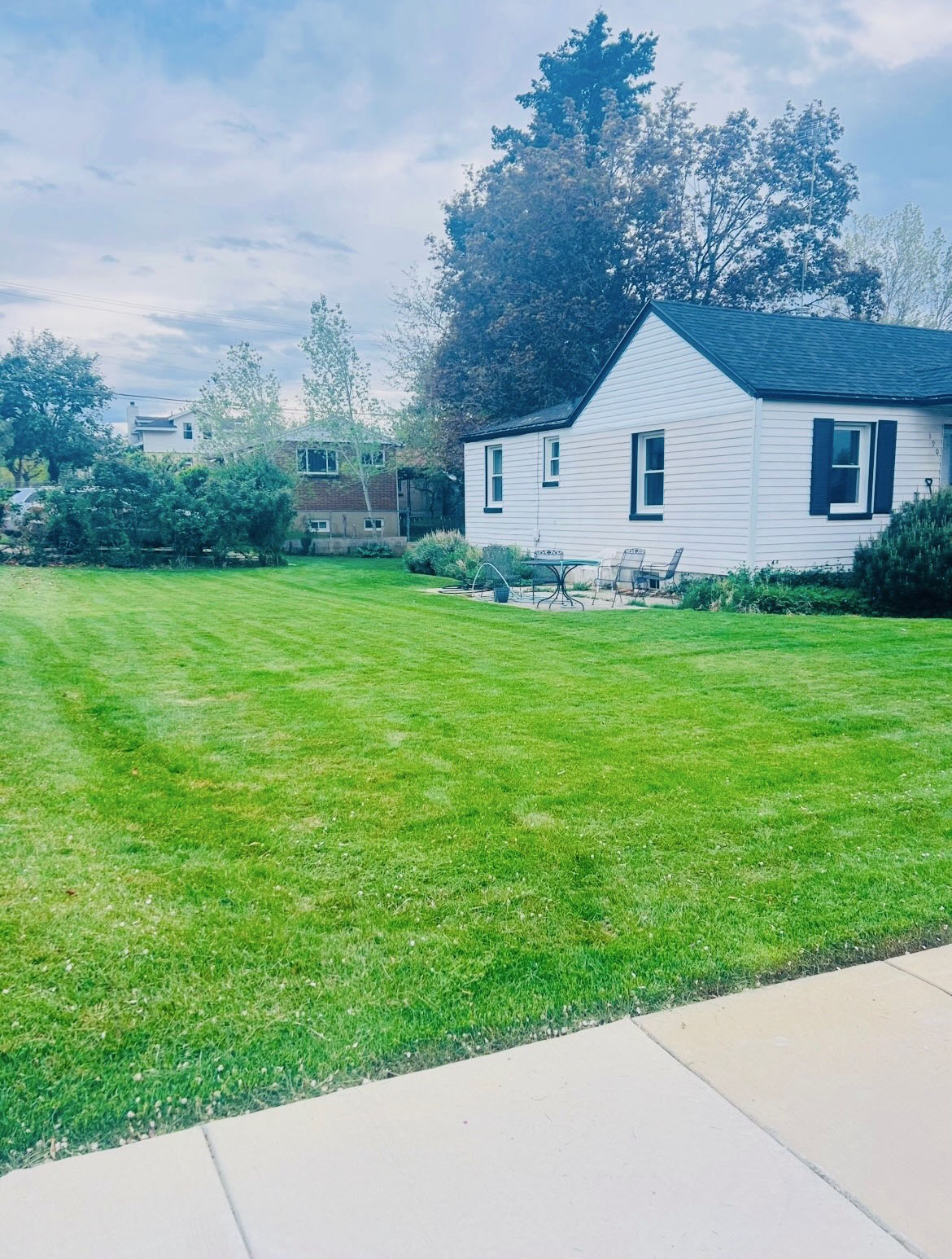 Green Oasis lawn care project